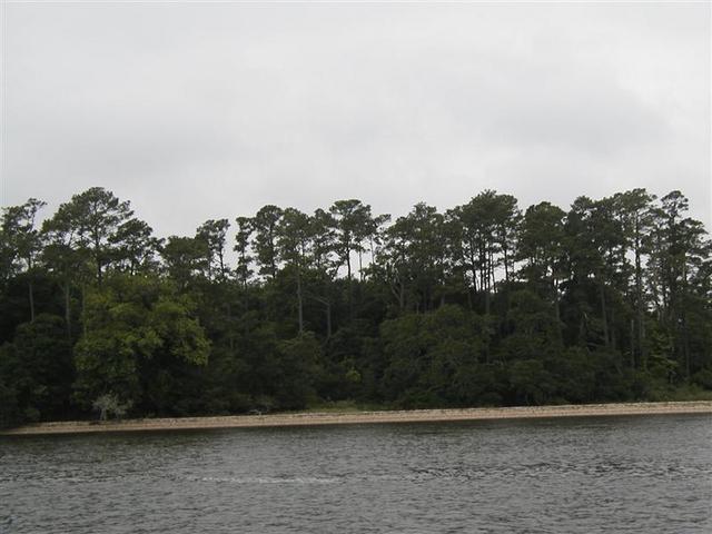 P1010024.JPG