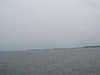 P1010026_th.JPG