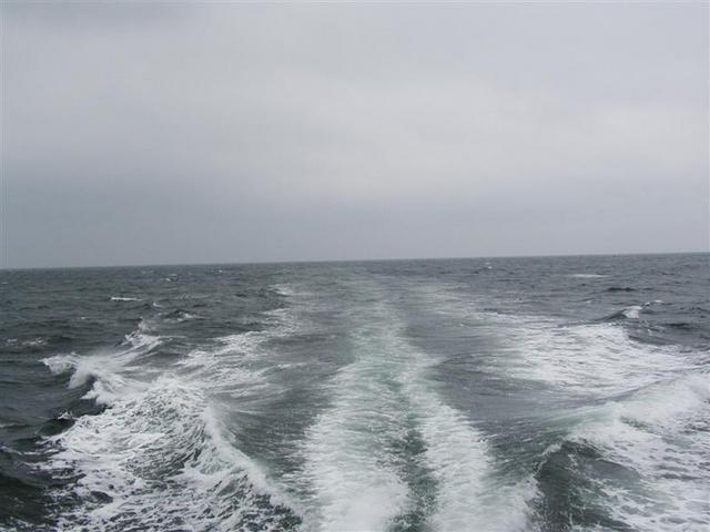P1010027.JPG