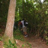 110-1031_IMG.JPG