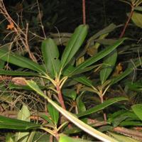 110-1035_IMG.JPG