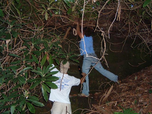 DSCF0031.JPG