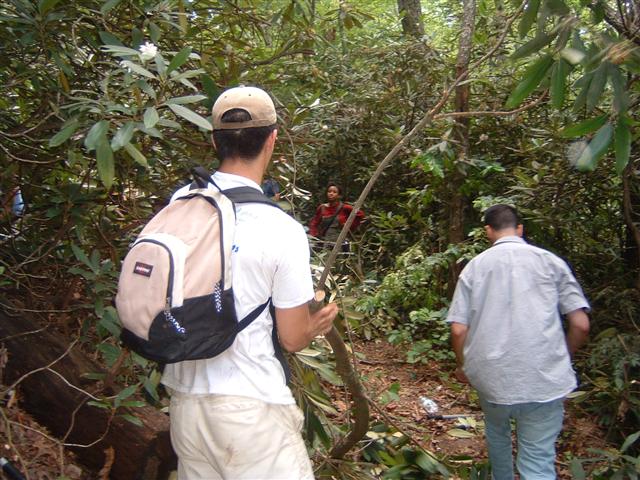 DSCF0043.JPG
