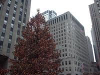 DSCF0060.JPG