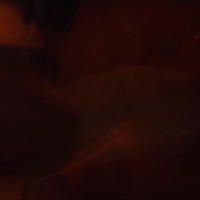 DSCF0068.JPG