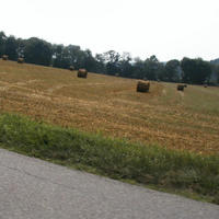 P1010024.JPG