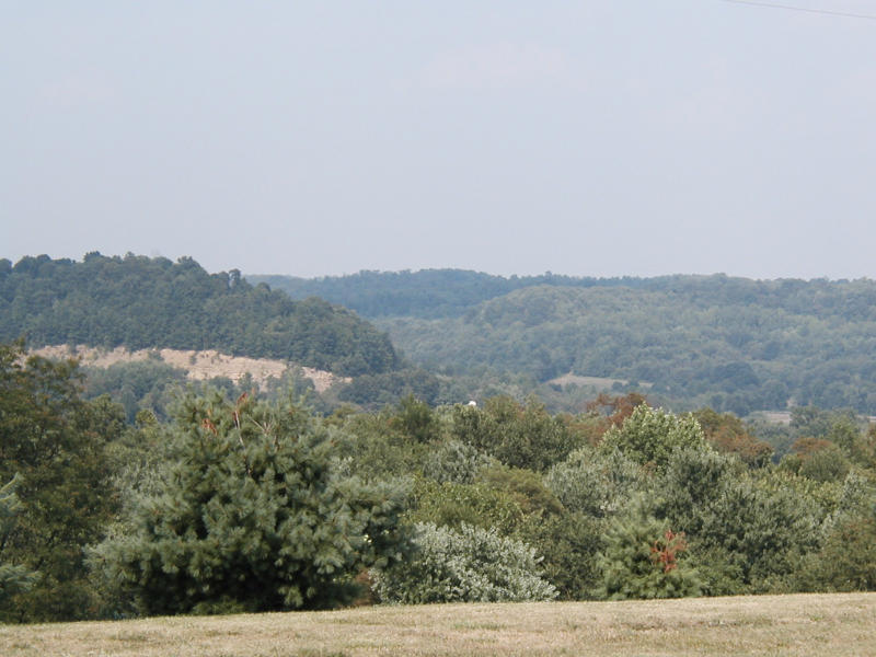 P1010027.JPG