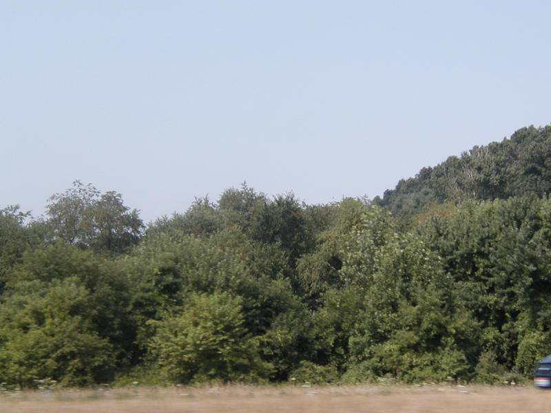 P1010308.JPG