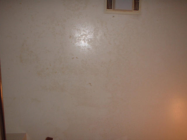 DSCF0018.JPG