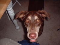 DSCF0023.JPG