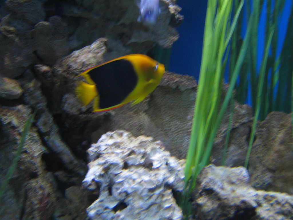 IMG_0610.jpg