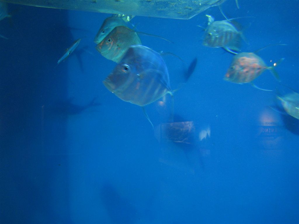 IMG_0620.jpg