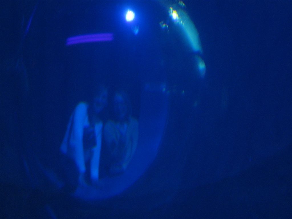 IMG_0684.jpg