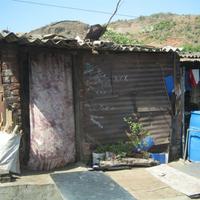 IMG_0986.jpg