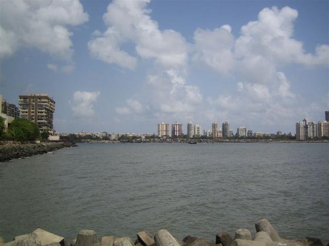 IMG_1076.jpg