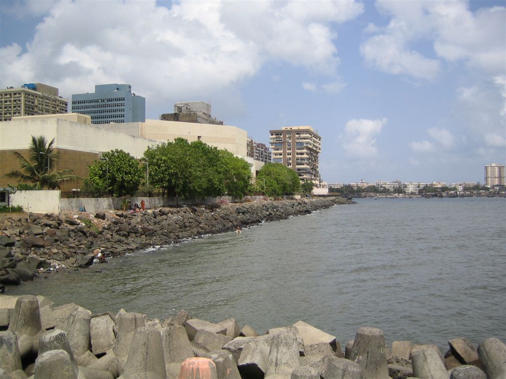 IMG_1077.jpg