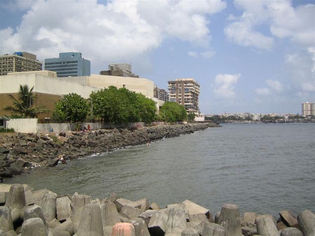 IMG_1077.jpg