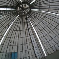 IMG_1150.jpg