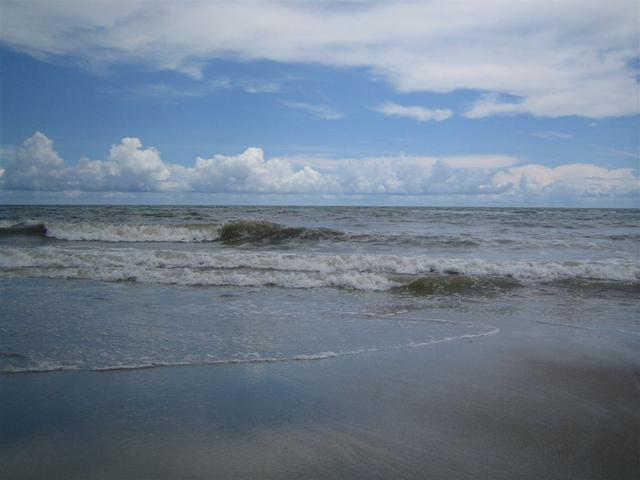 IMG_1424.jpg