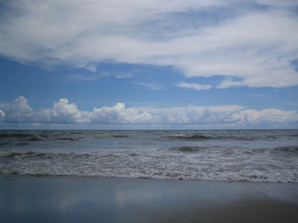 IMG_1425.jpg