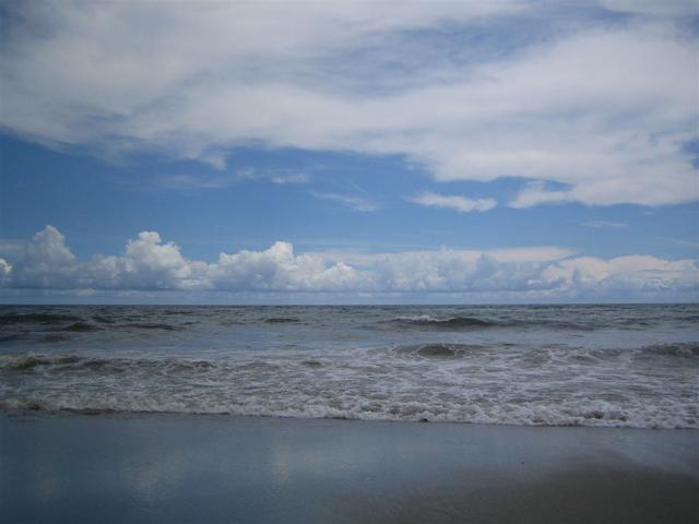 IMG_1425.jpg