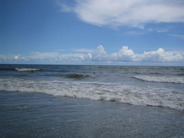 IMG_1426.jpg