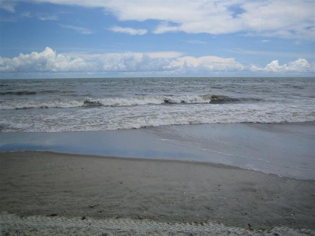 IMG_1427.jpg