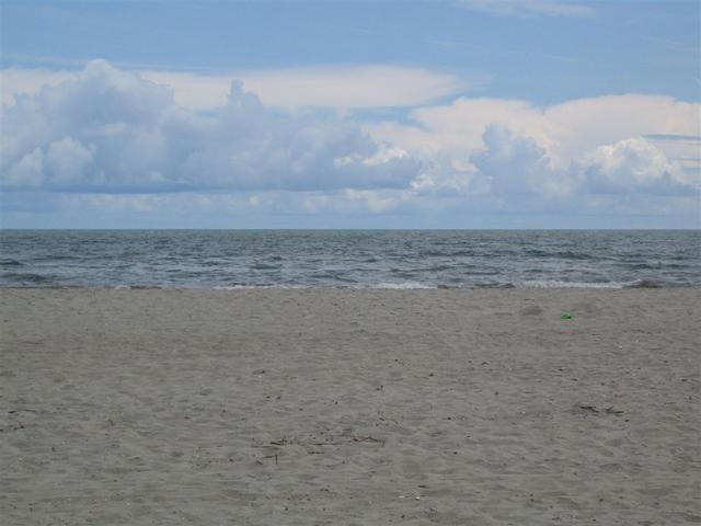 IMG_1429.jpg