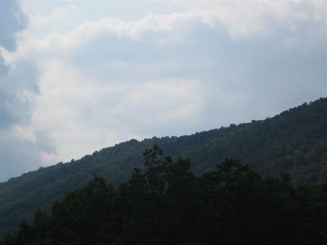 IMG_1477.jpg