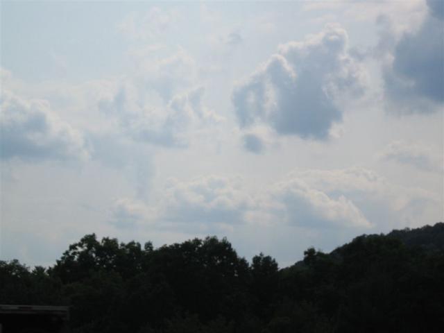IMG_1480.jpg