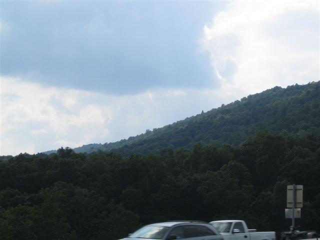 IMG_1481.jpg
