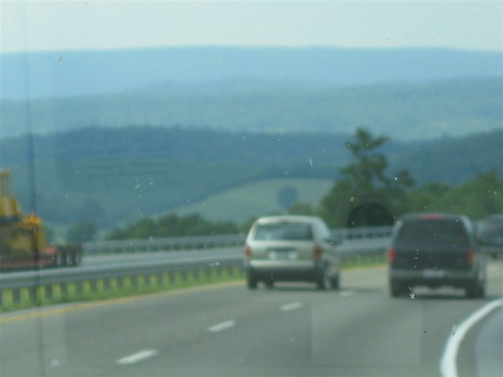 IMG_1486.jpg
