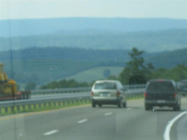 IMG_1486.jpg