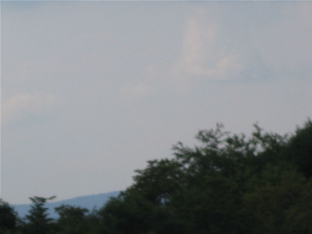 IMG_1487.jpg