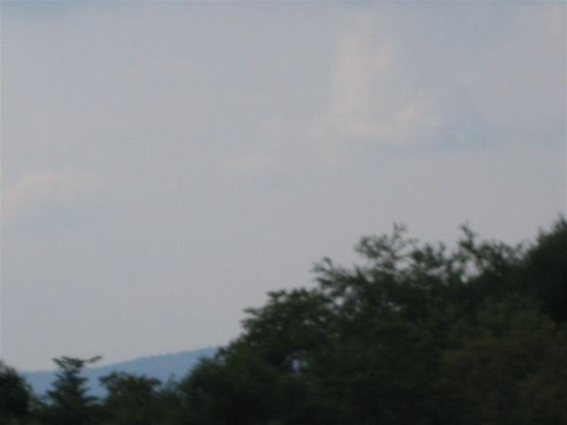 IMG_1487.jpg