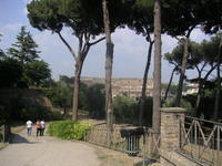 palatino1