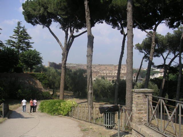 palatino1