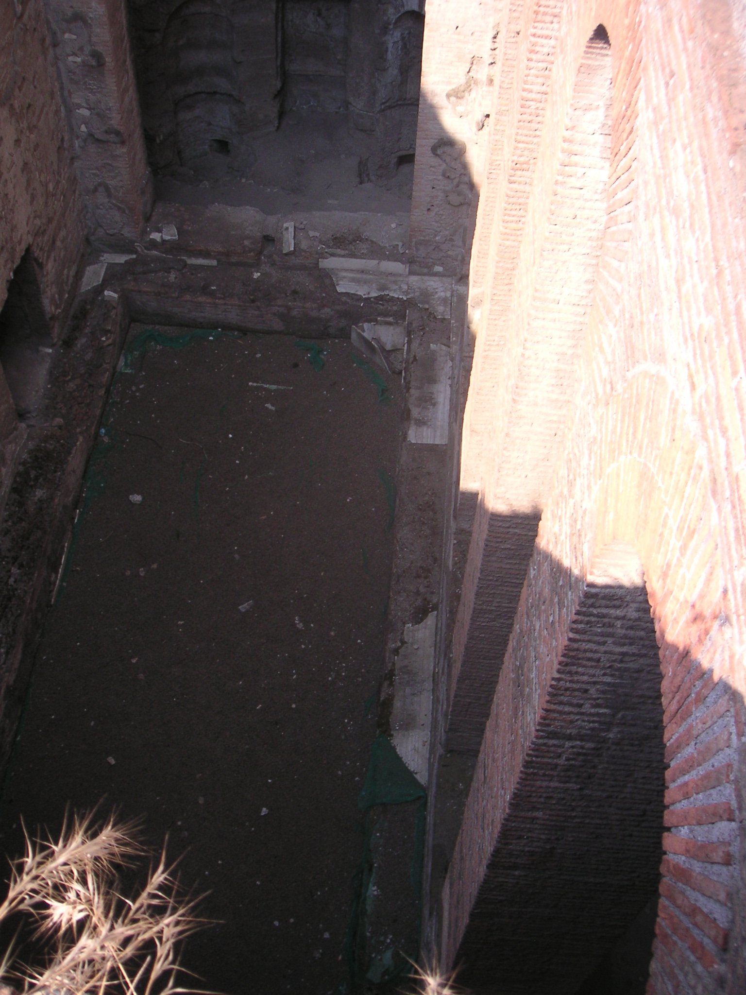 palatino4