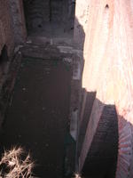 palatino4