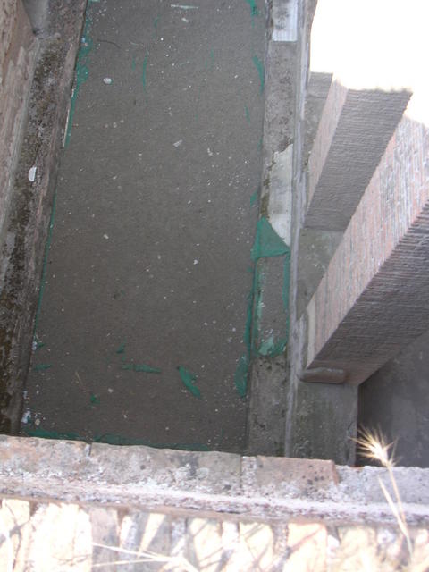 palatino5