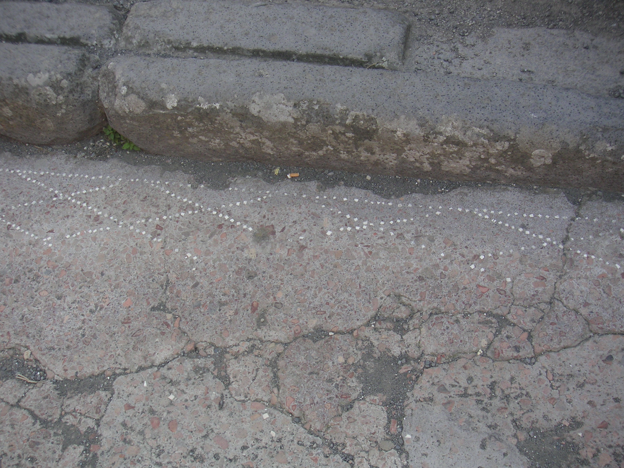 pompei mosaic 2