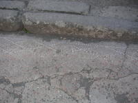 pompei mosaic 2