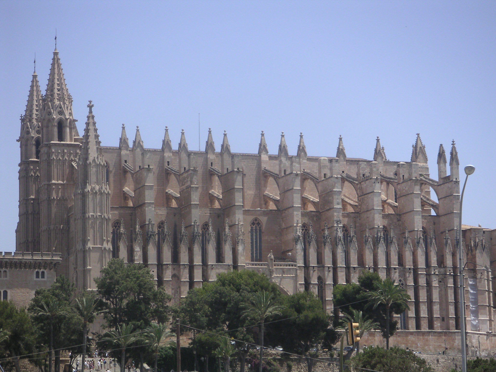 palma cathedral