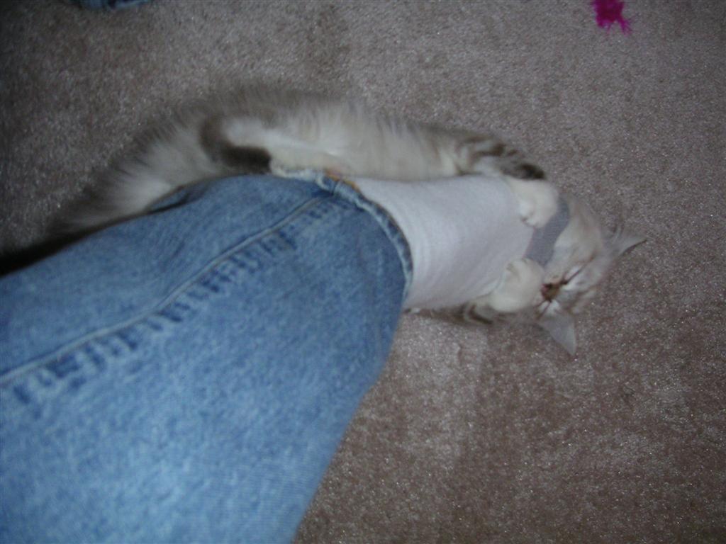 PICT0026.JPG