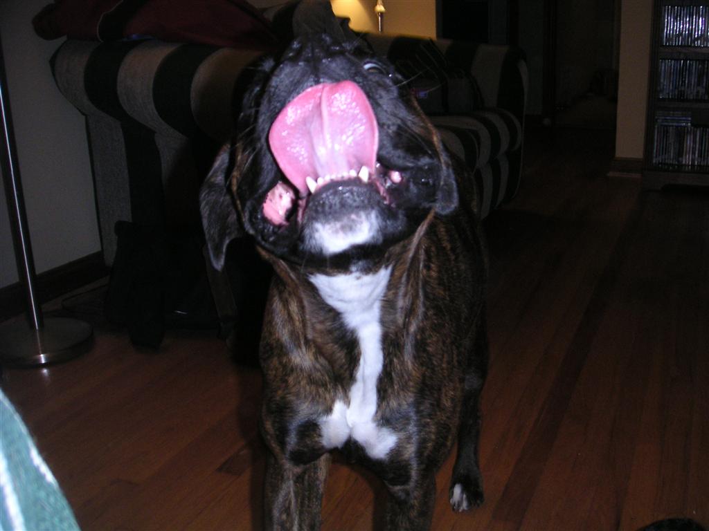 PICT0029.JPG