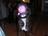 PICT0029.JPG
