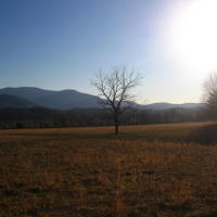 IMG_2220.jpg