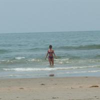 100_0102.JPG
