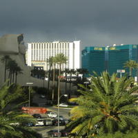 IMG_3504.JPG