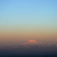 IMG_3771.JPG